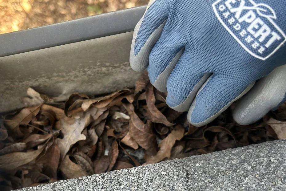 Gutter Cleaning St. Mathews