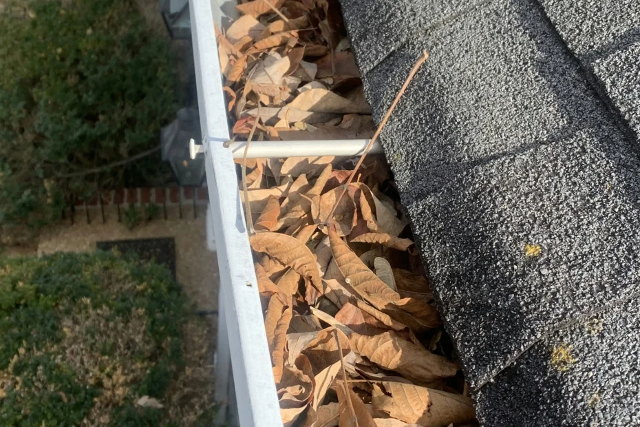 Gutter Cleaning St. Mathews
